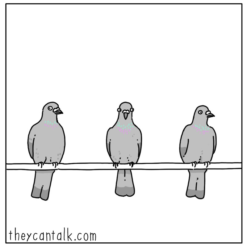 https://cdn.tinyview.com/they-can-talk/2024/11/14/electricity/pigeon_wire3.jpg