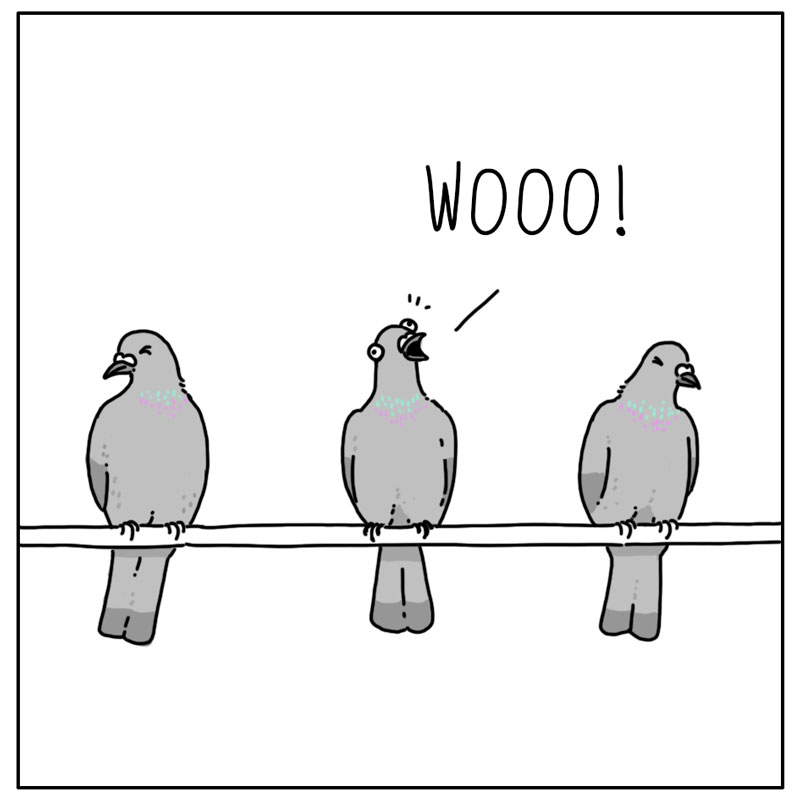 https://cdn.tinyview.com/they-can-talk/2024/11/14/electricity/pigeon_wire4.jpg