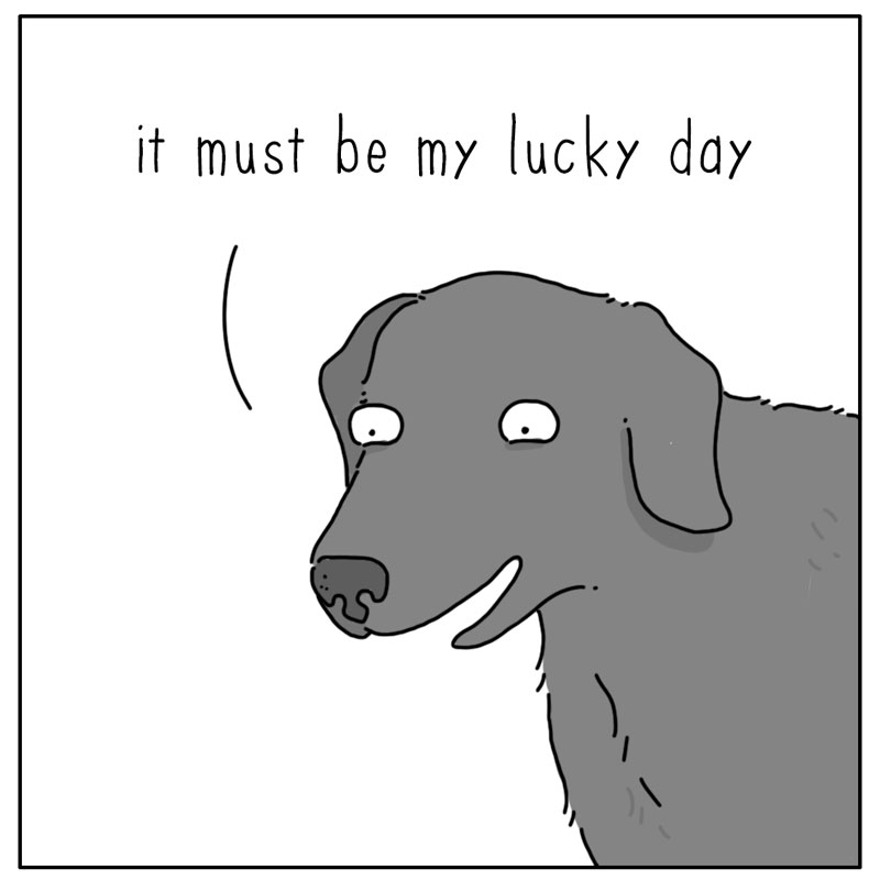 https://cdn.tinyview.com/they-can-talk/2024/11/18/leaf/dog_leaf2.jpg