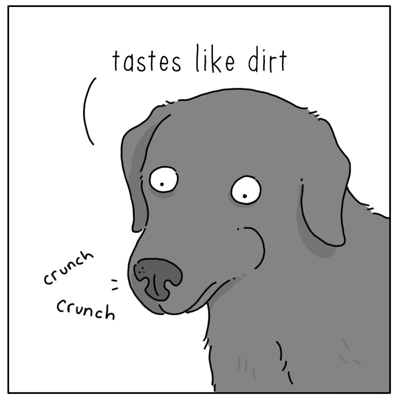https://cdn.tinyview.com/they-can-talk/2024/11/18/leaf/dog_leaf3.jpg
