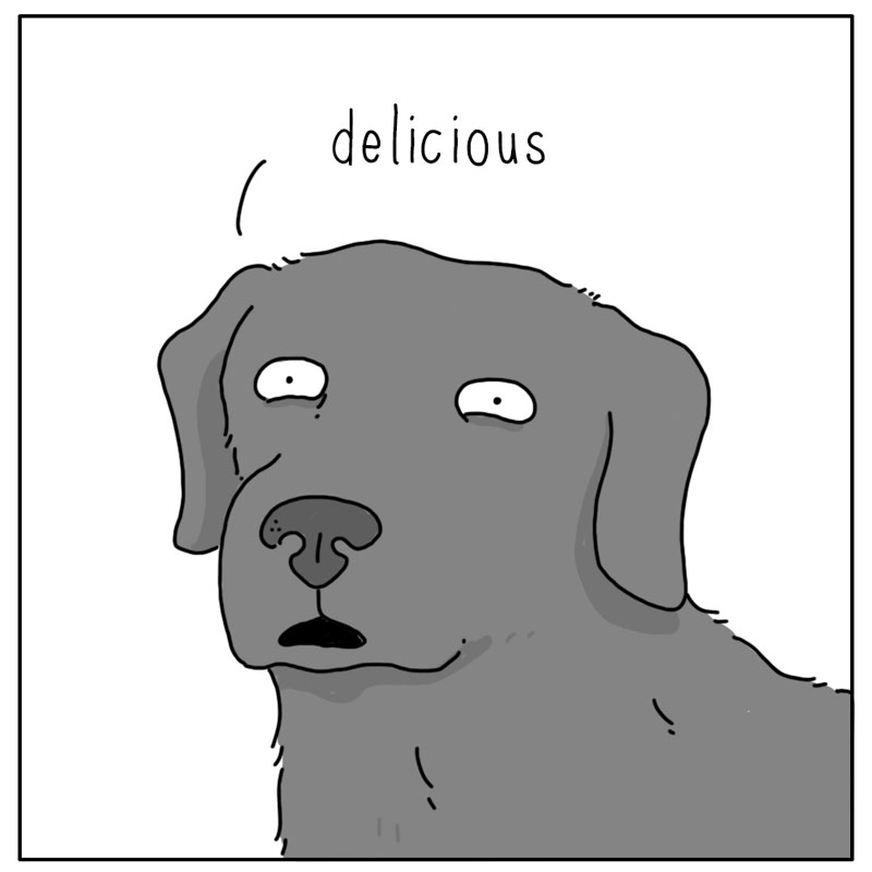 https://cdn.tinyview.com/they-can-talk/2024/11/18/leaf/dog_leaf4.jpg