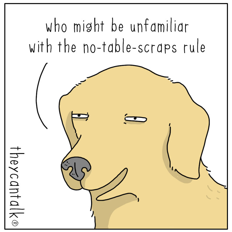https://cdn.tinyview.com/they-can-talk/2024/11/25/guests/dog_guests2.jpg