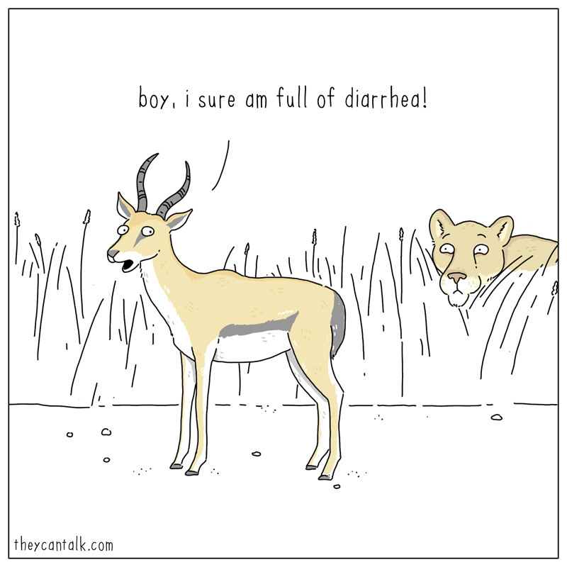 https://cdn.tinyview.com/they-can-talk/2024/11/29/strategy/gazelle_diarrhea.jpg