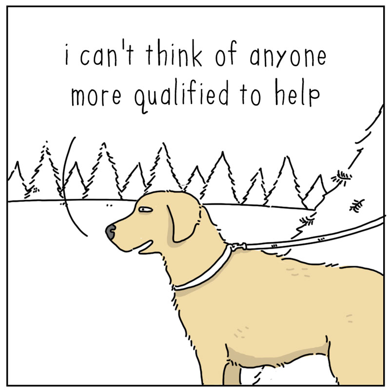 https://cdn.tinyview.com/they-can-talk/2024/12/02/qualified/dog_treepro2.jpg