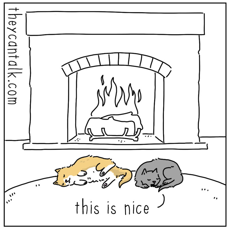 https://cdn.tinyview.com/they-can-talk/2024/12/09/fireplace/cat_fireplace1.jpg
