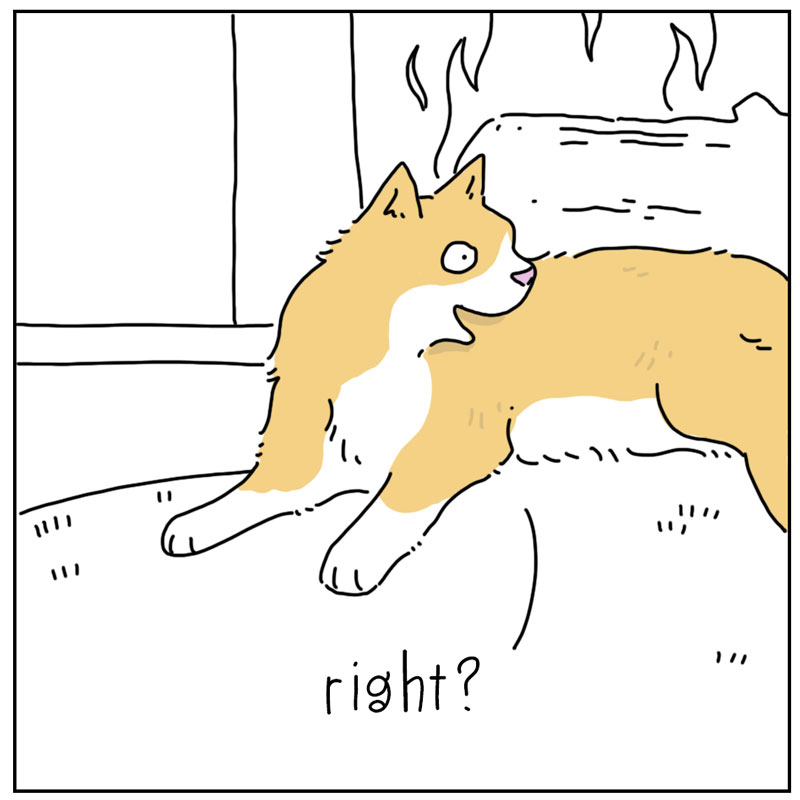 https://cdn.tinyview.com/they-can-talk/2024/12/09/fireplace/cat_fireplace2.jpg