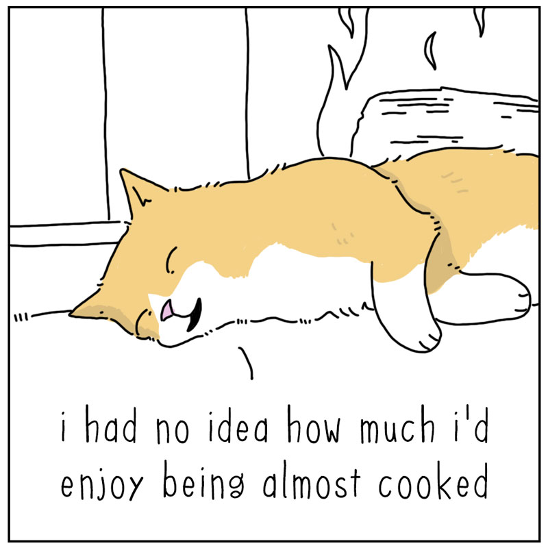 https://cdn.tinyview.com/they-can-talk/2024/12/09/fireplace/cat_fireplace3.jpg
