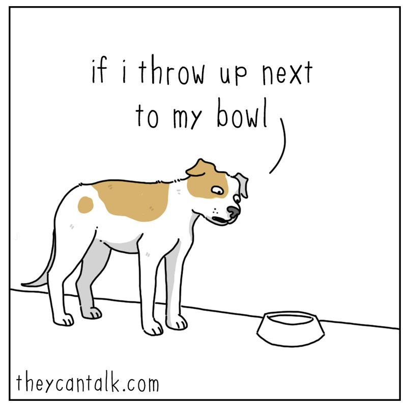 https://cdn.tinyview.com/they-can-talk/2024/12/13/reminder/dog_reminder1.jpg