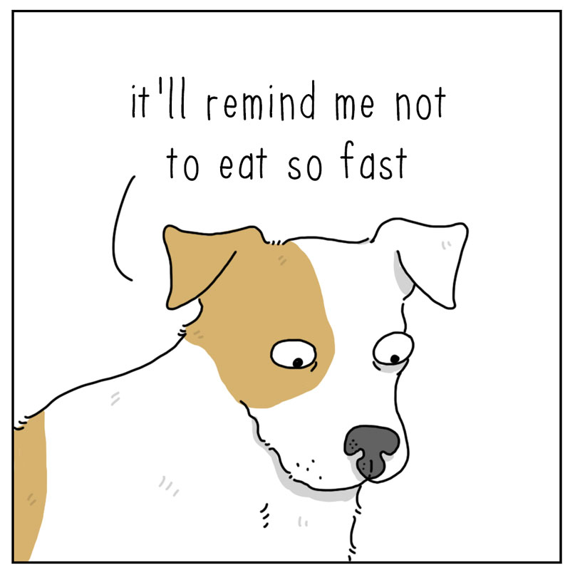 https://cdn.tinyview.com/they-can-talk/2024/12/13/reminder/dog_reminder2.jpg
