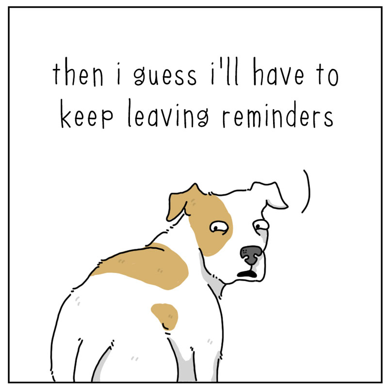 https://cdn.tinyview.com/they-can-talk/2024/12/13/reminder/dog_reminder4.jpg