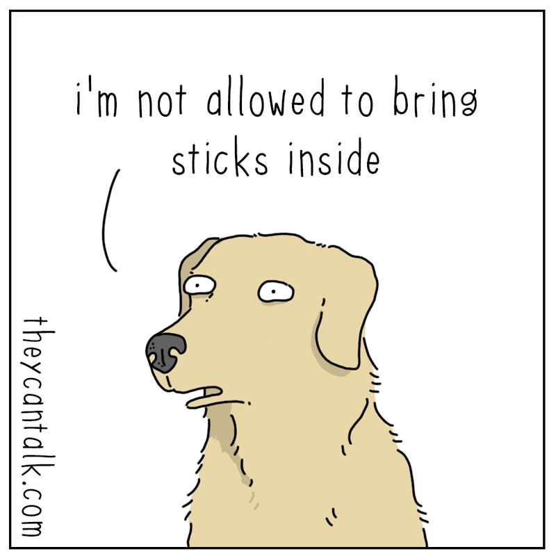 https://cdn.tinyview.com/they-can-talk/2024/12/15/exception/dog_christmastree1.jpg