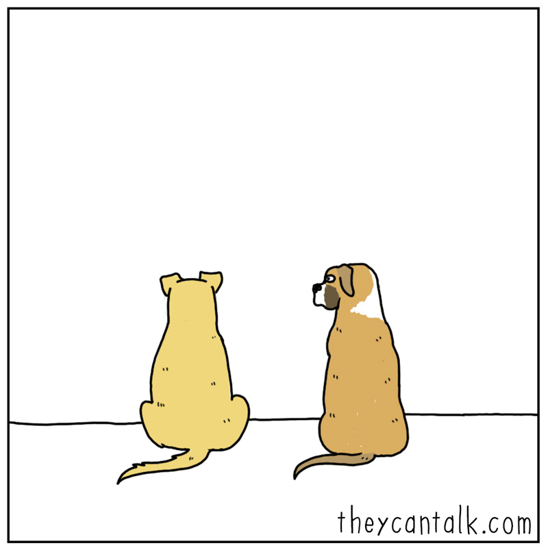 https://cdn.tinyview.com/they-can-talk/2024/12/20/yelling/dog_yelling4.jpg