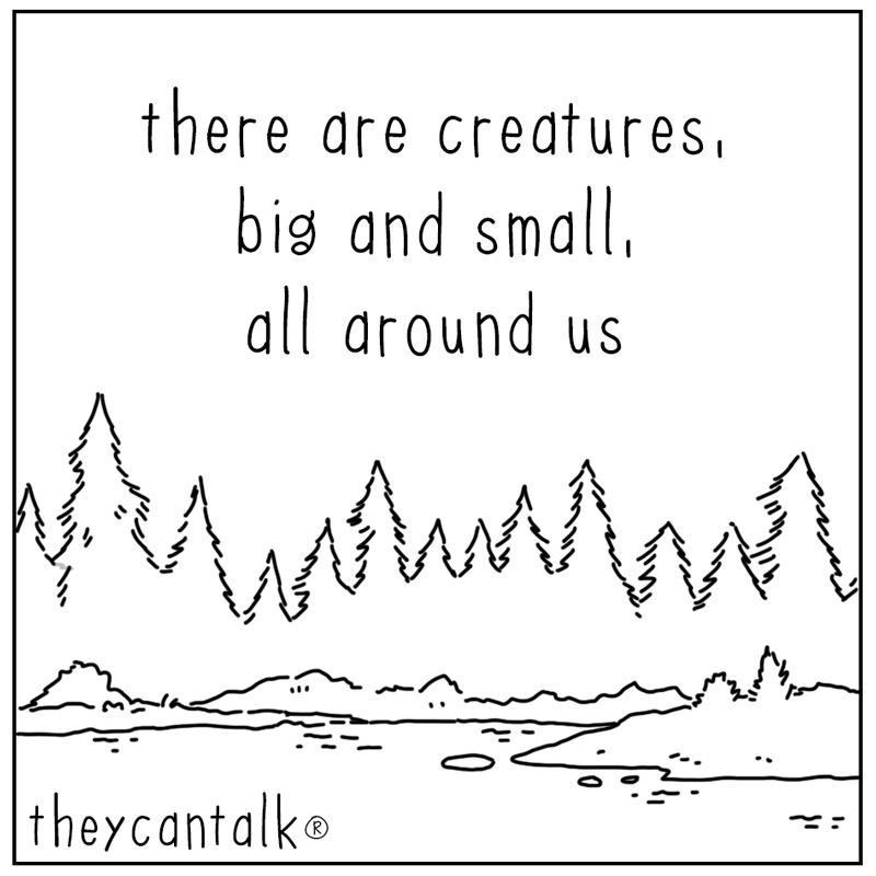 https://cdn.tinyview.com/they-can-talk/2024/12/23/creatures/cat_laundry1.jpg