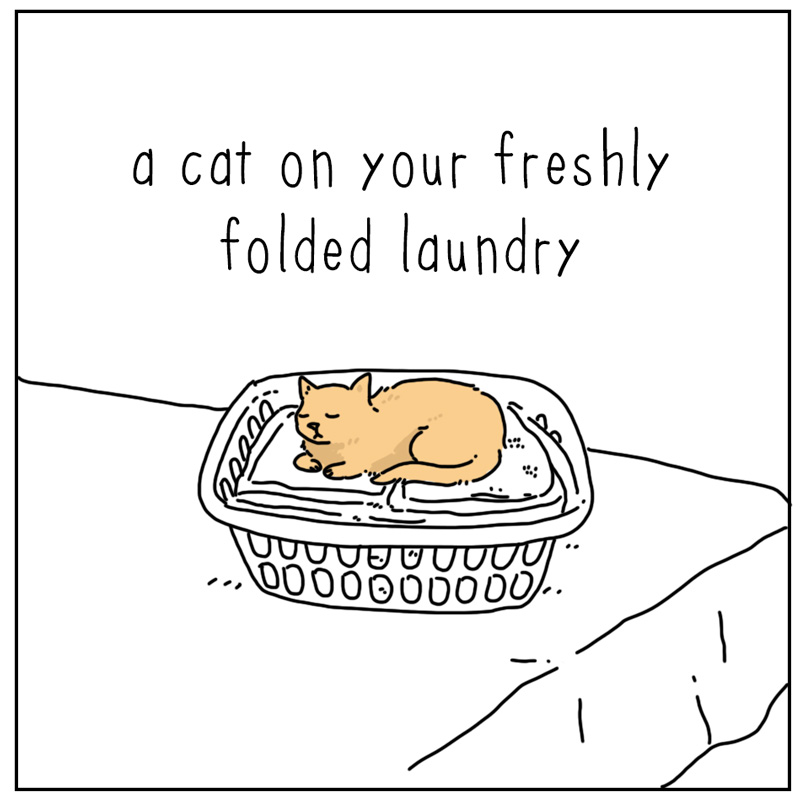 https://cdn.tinyview.com/they-can-talk/2024/12/23/creatures/cat_laundry4.jpg