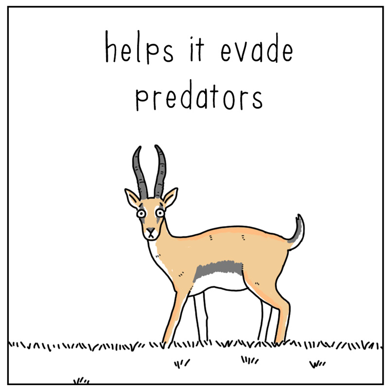 https://cdn.tinyview.com/they-can-talk/2024/12/27/evade/gazelle_social2.jpg