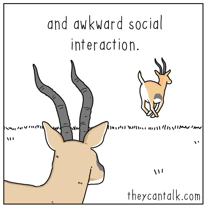 https://cdn.tinyview.com/they-can-talk/2024/12/27/evade/gazelle_social3.jpg