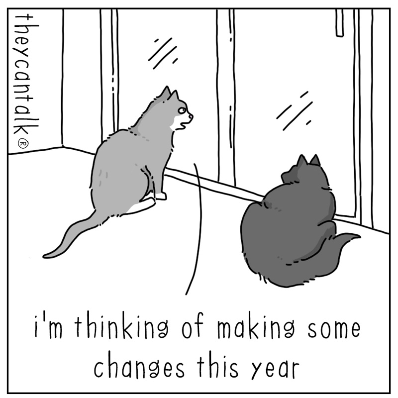 https://cdn.tinyview.com/they-can-talk/2024/12/30/changes/cat_changes1.jpg