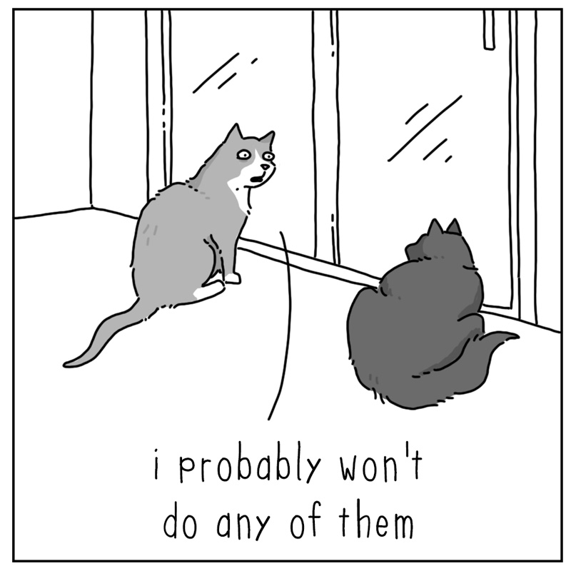 https://cdn.tinyview.com/they-can-talk/2024/12/30/changes/cat_changes2.jpg