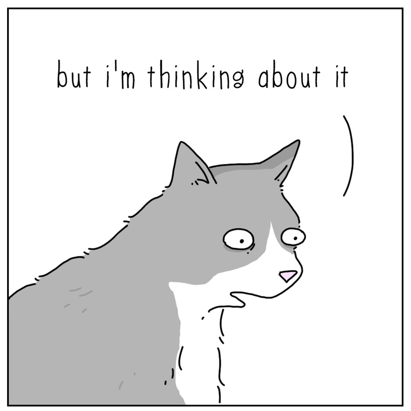 https://cdn.tinyview.com/they-can-talk/2024/12/30/changes/cat_changes3.jpg