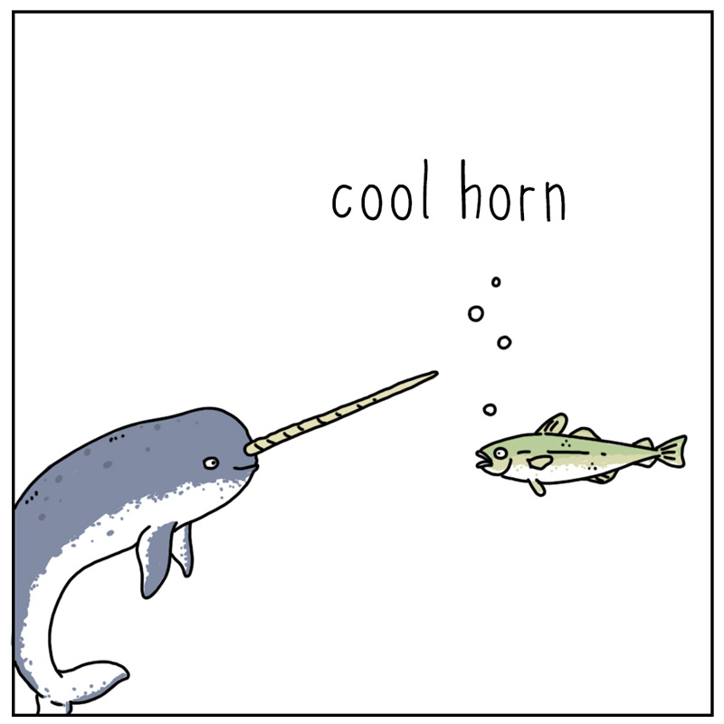 https://cdn.tinyview.com/they-can-talk/2025/01/10/narwhal/narwhal_tooth1.jpg