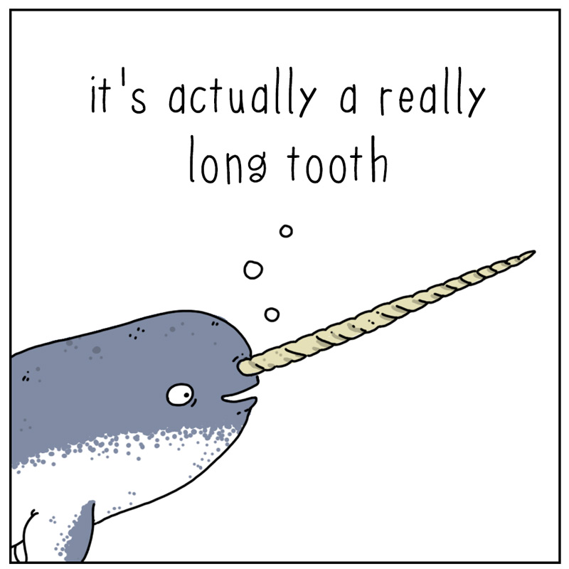 https://cdn.tinyview.com/they-can-talk/2025/01/10/narwhal/narwhal_tooth2.jpg