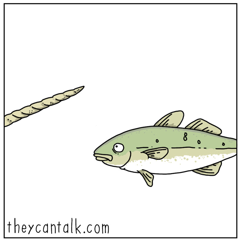 https://cdn.tinyview.com/they-can-talk/2025/01/10/narwhal/narwhal_tooth3.jpg