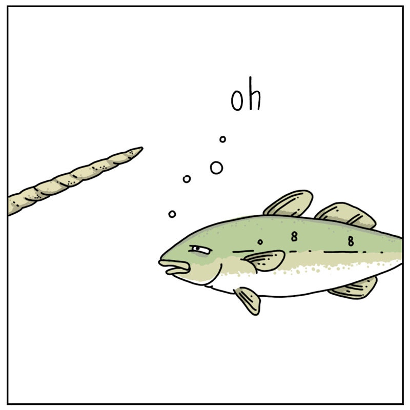 https://cdn.tinyview.com/they-can-talk/2025/01/10/narwhal/narwhal_tooth4.jpg