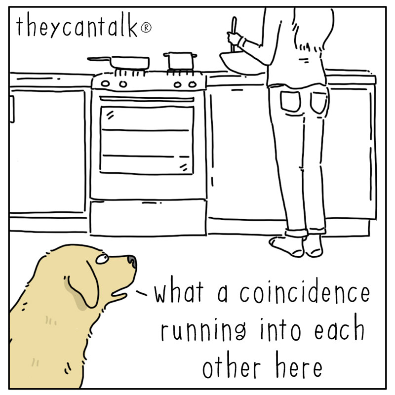 https://cdn.tinyview.com/they-can-talk/2025/01/12/coincidence/dog_kitchen1.jpg