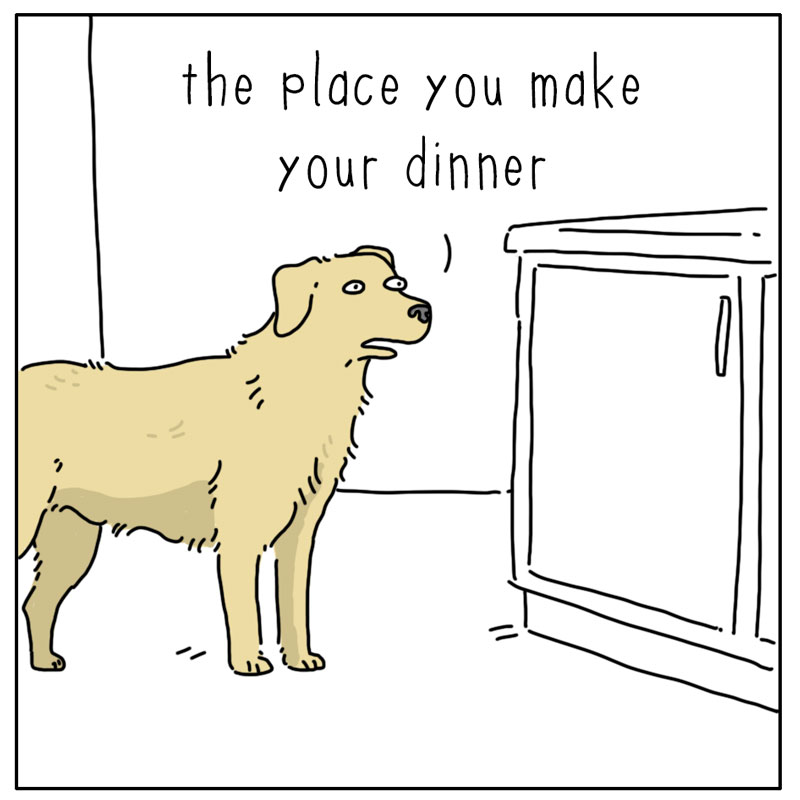 https://cdn.tinyview.com/they-can-talk/2025/01/12/coincidence/dog_kitchen2.jpg