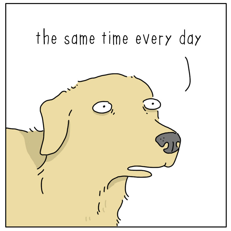 https://cdn.tinyview.com/they-can-talk/2025/01/12/coincidence/dog_kitchen3.jpg
