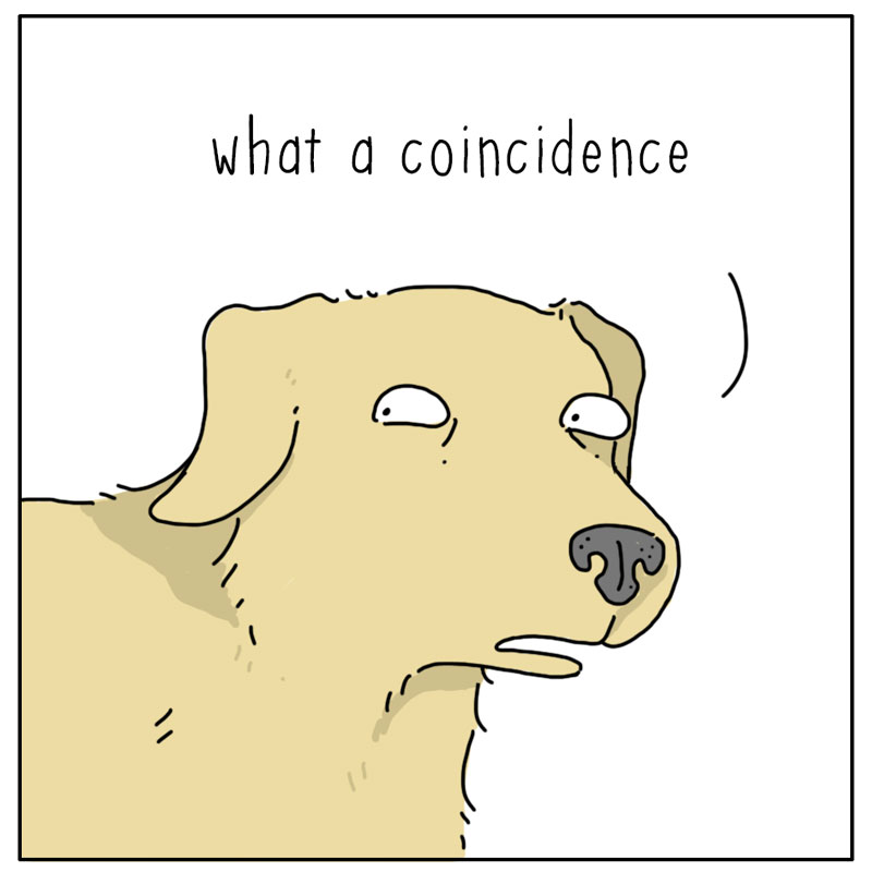https://cdn.tinyview.com/they-can-talk/2025/01/12/coincidence/dog_kitchen4.jpg