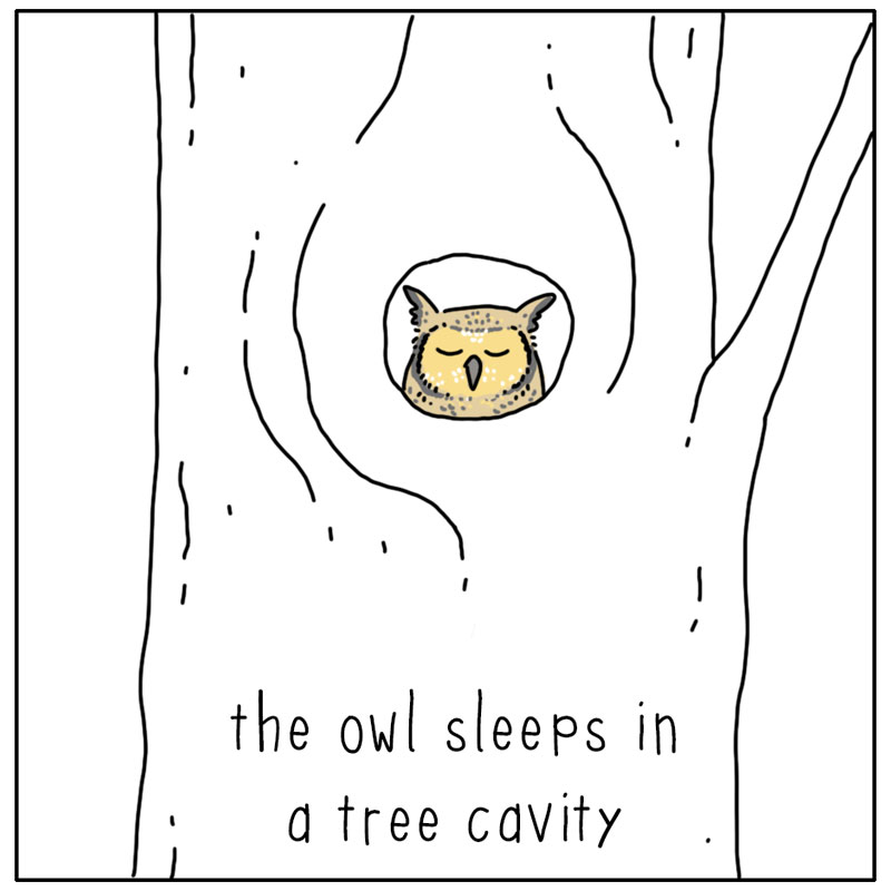 https://cdn.tinyview.com/they-can-talk/2025/01/20/home/cat_home2.jpg