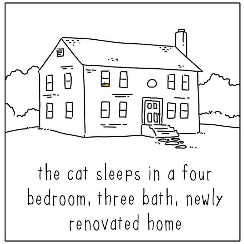 https://cdn.tinyview.com/they-can-talk/2025/01/20/home/cat_home4.jpg