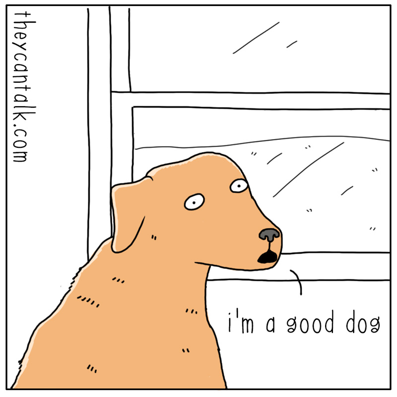 https://cdn.tinyview.com/they-can-talk/2025/01/22/good/dog_gooddog1.jpg