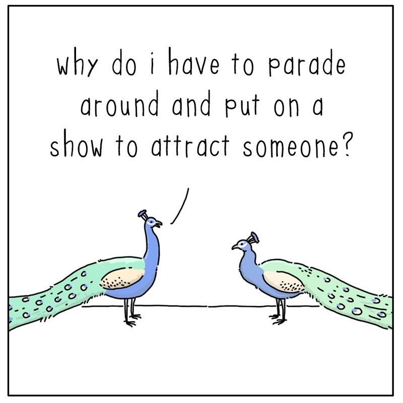 https://cdn.tinyview.com/they-can-talk/2025/01/24/attract/peacock_attractive1.jpg