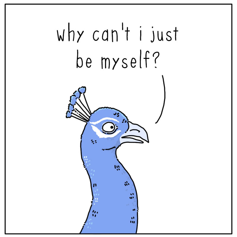 https://cdn.tinyview.com/they-can-talk/2025/01/24/attract/peacock_attractive2.jpg