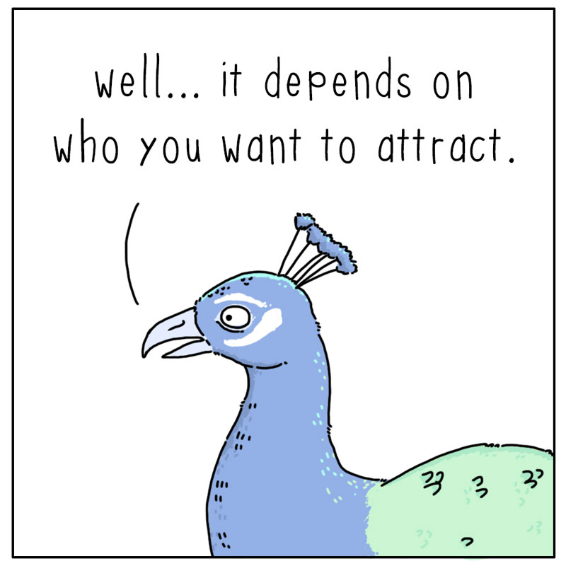 https://cdn.tinyview.com/they-can-talk/2025/01/24/attract/peacock_attractive3.jpg