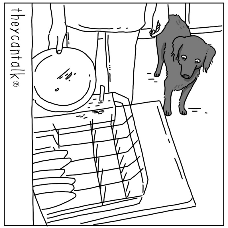 https://cdn.tinyview.com/they-can-talk/2025/01/26/dishwasher/dog_dishwasher1.jpg