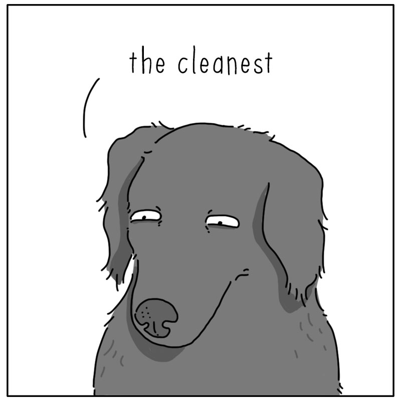 https://cdn.tinyview.com/they-can-talk/2025/01/26/dishwasher/dog_dishwasher4.jpg