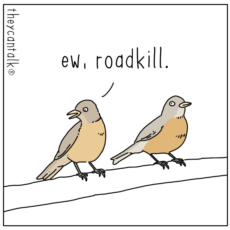 https://cdn.tinyview.com/they-can-talk/2025/01/30/correction/bird_roadkill1.jpg