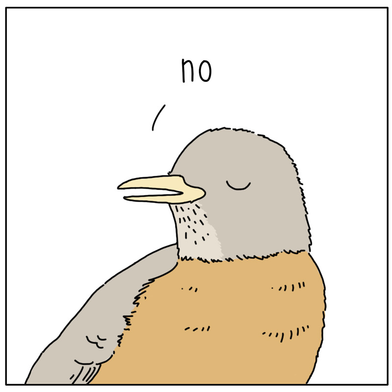 https://cdn.tinyview.com/they-can-talk/2025/01/30/correction/bird_roadkill2.jpg
