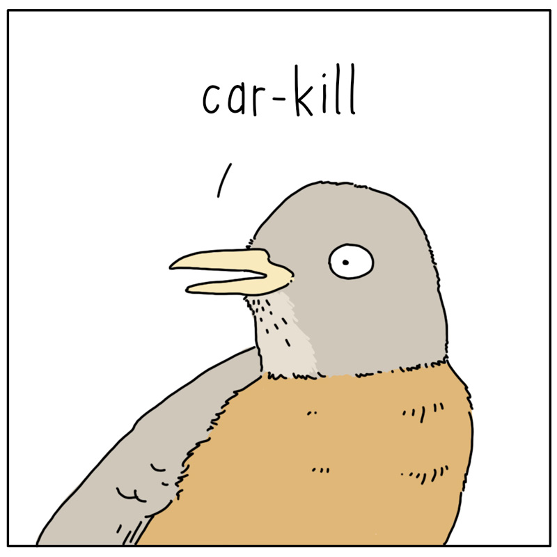 https://cdn.tinyview.com/they-can-talk/2025/01/30/correction/bird_roadkill3.jpg
