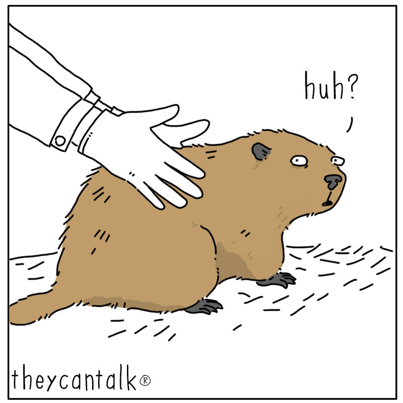 https://cdn.tinyview.com/they-can-talk/2025/02/02/groundhog-day/groundhog_day1.jpg