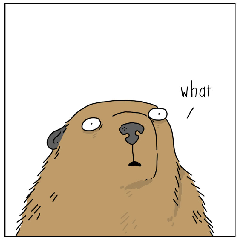 https://cdn.tinyview.com/they-can-talk/2025/02/02/groundhog-day/groundhog_day3.jpg