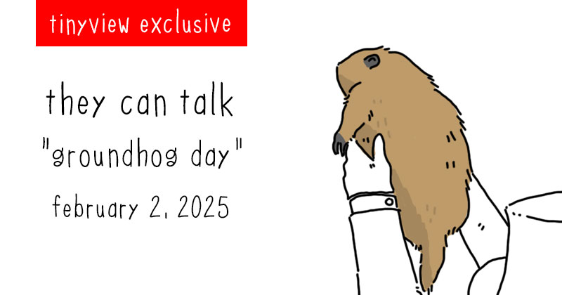 groundhog day