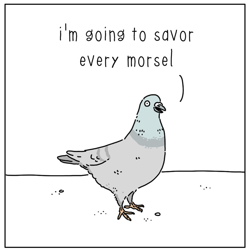 https://cdn.tinyview.com/they-can-talk/2025/02/07/appreciate/pigeon_savor2.jpg