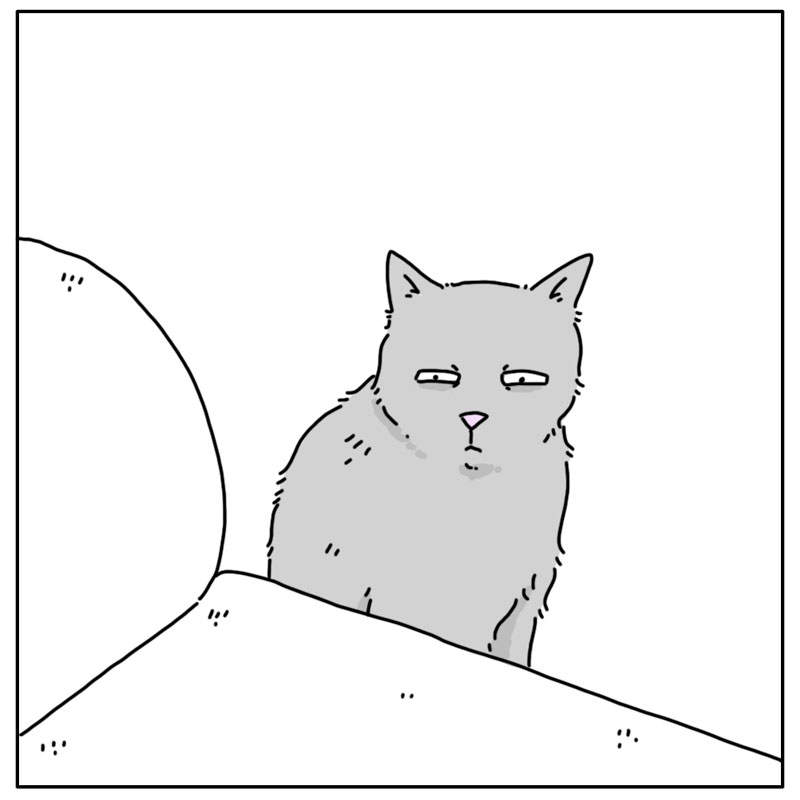 https://cdn.tinyview.com/they-can-talk/2025/02/09/epiphany/cat_holes2.jpg