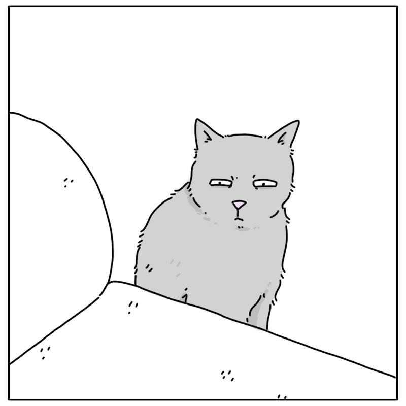 https://cdn.tinyview.com/they-can-talk/2025/02/09/epiphany/cat_holes3.jpg