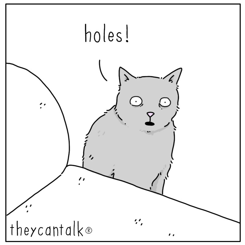 https://cdn.tinyview.com/they-can-talk/2025/02/09/epiphany/cat_holes4.jpg