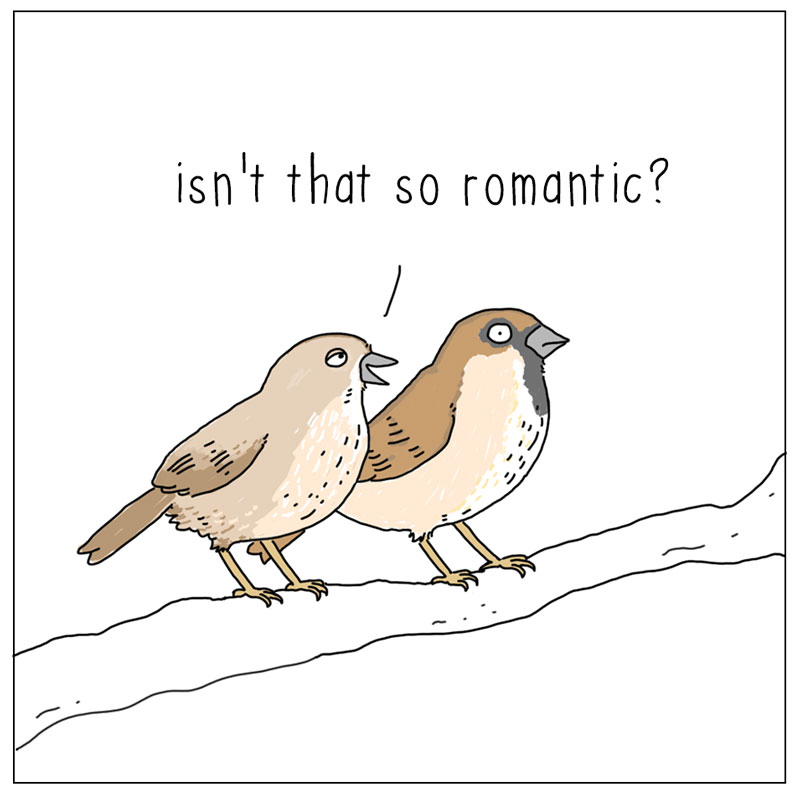 https://cdn.tinyview.com/they-can-talk/2025/02/13/romantic/swans_romantic2.jpg